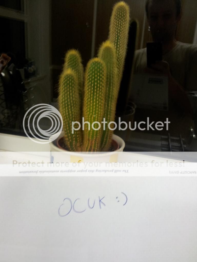 2012-10-24221231_zps3ef10e1a.jpg