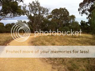 Wetlands Walking Track