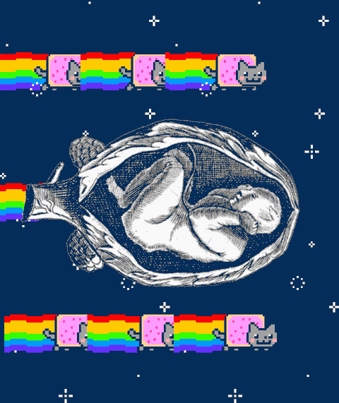 nyanbaby
