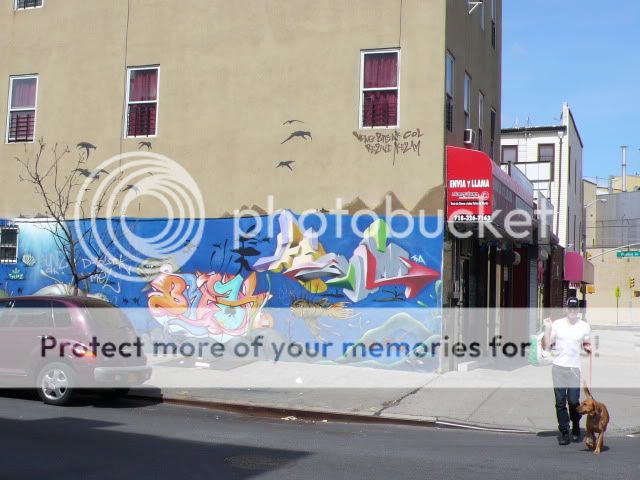 P1270144.jpg