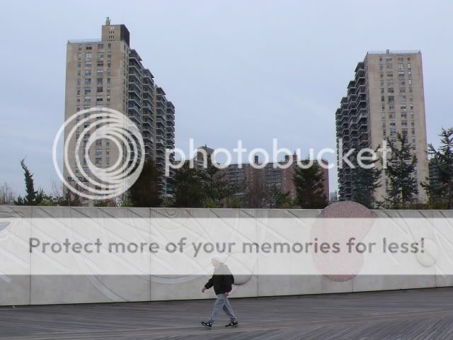 P1260247.jpg