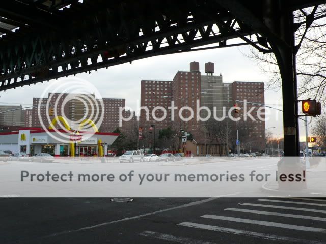 P1260434.jpg