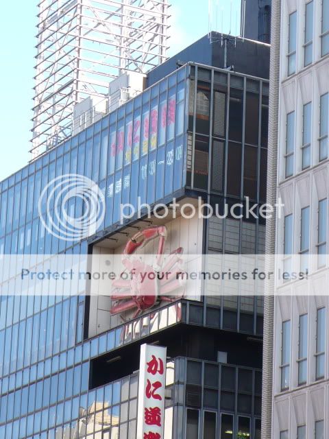 P1240468.jpg