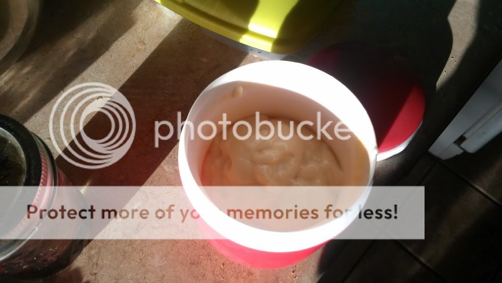 Uploaded from the Photobucket Android App