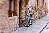 Life style Bruges - Bike
