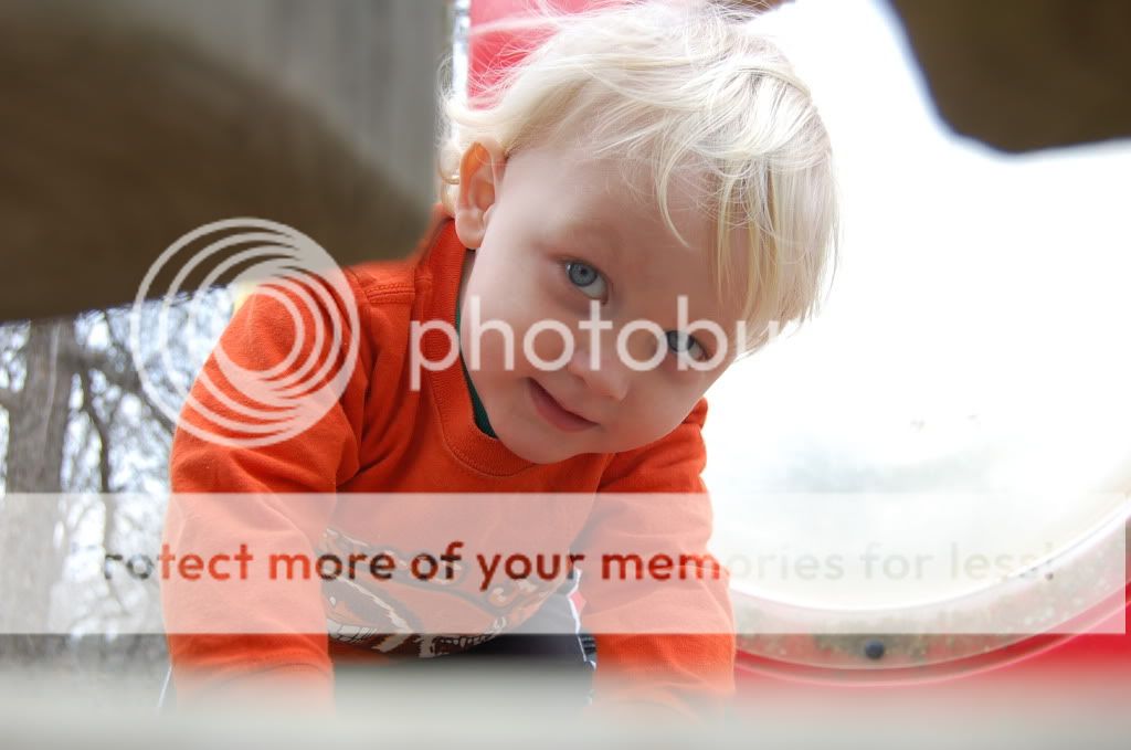 Please, someone send an new pic of the day thread! - Homesteading Questions