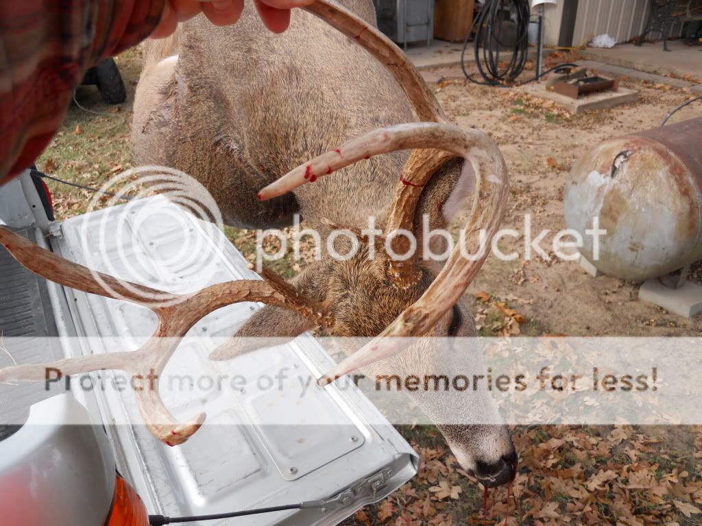 Sorry weather predictions for Opening Day of Deer Gun season. - The Great Outdoors