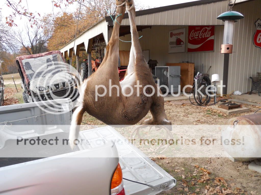 Sorry weather predictions for Opening Day of Deer Gun season. - The Great Outdoors