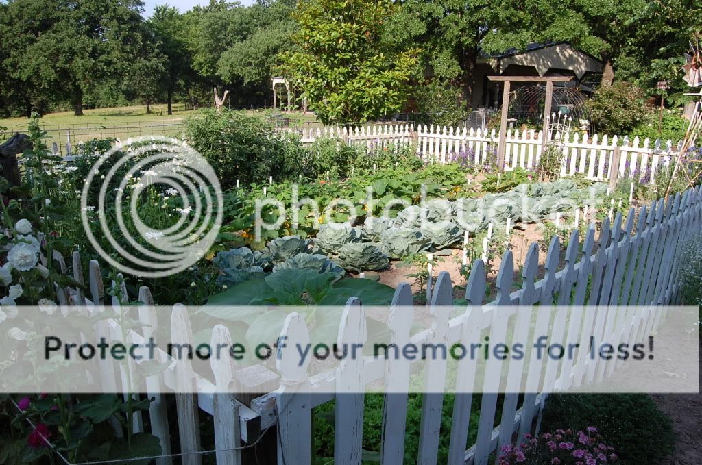 Update on PVC Garden! - Homesteading Questions