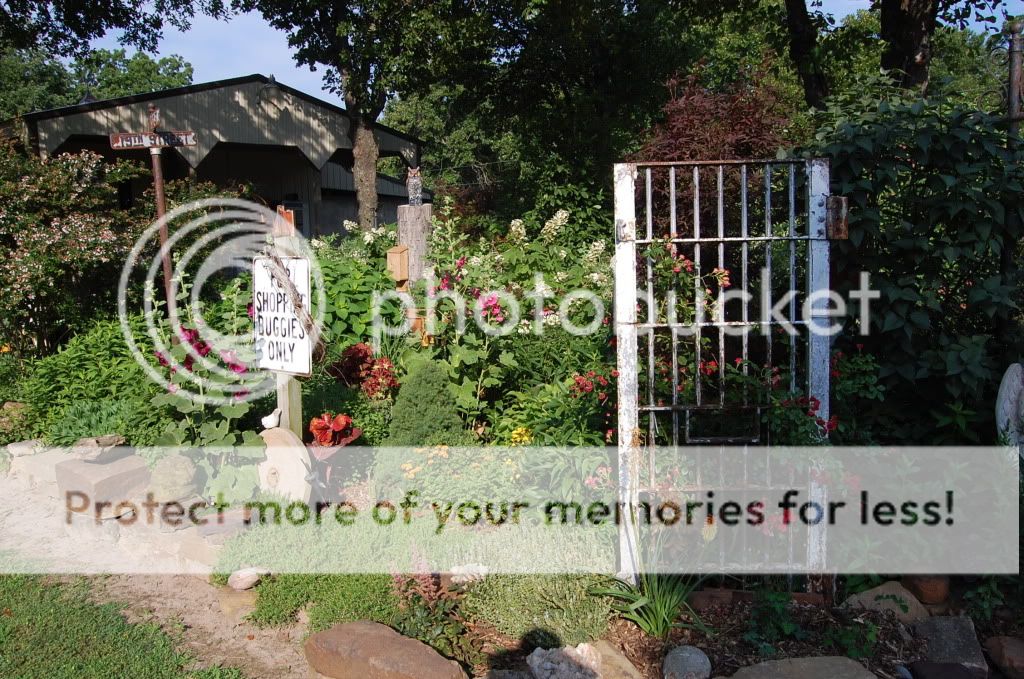 Update on PVC Garden! - Homesteading Questions