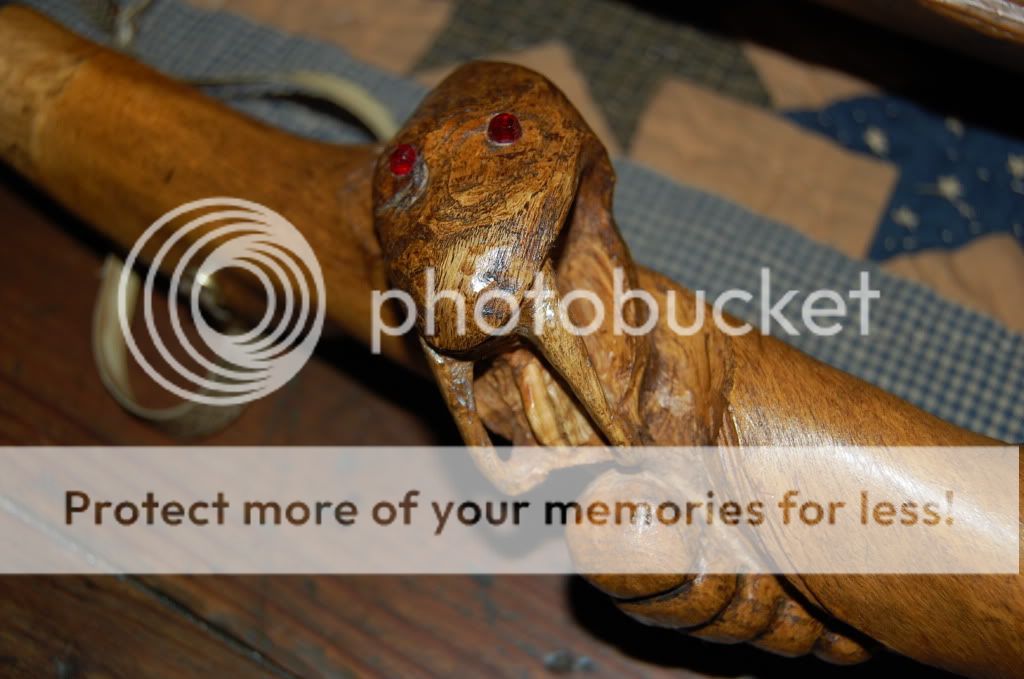 Couple pics of walking stick! - Homesteading Questions