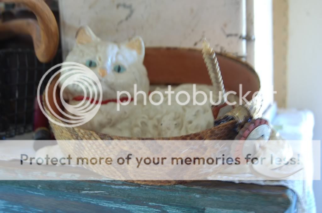 Poster about the snake in eastern OKlahoma - Homesteading Questions