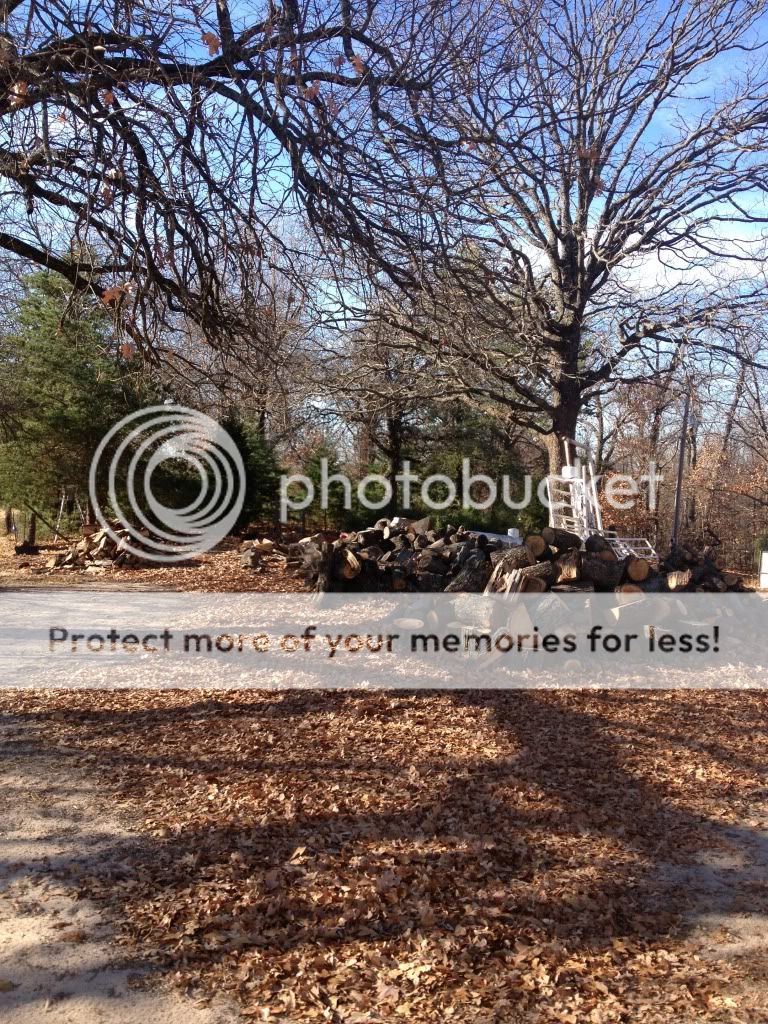 U guys busy cutting wood? - Homesteading Questions