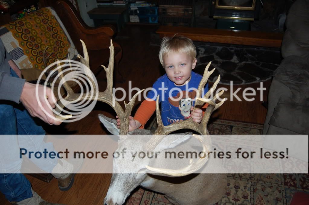 Picture of big buck! - The Great Outdoors