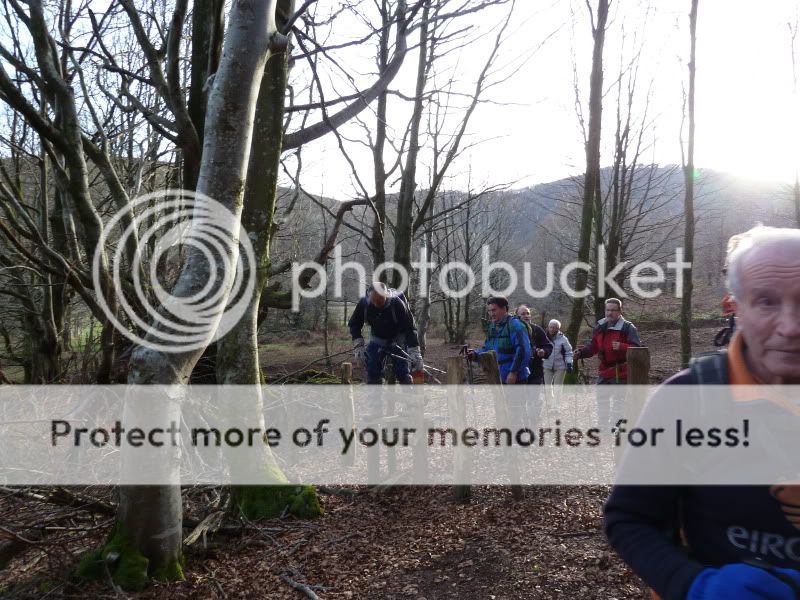 Photo Sharing and Video Hosting at Photobucket