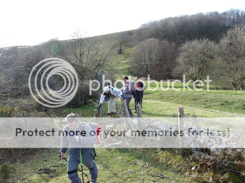 Photo Sharing and Video Hosting at Photobucket