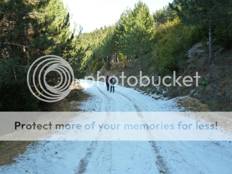 Photo Sharing and otobucVideo Hosting at Phket