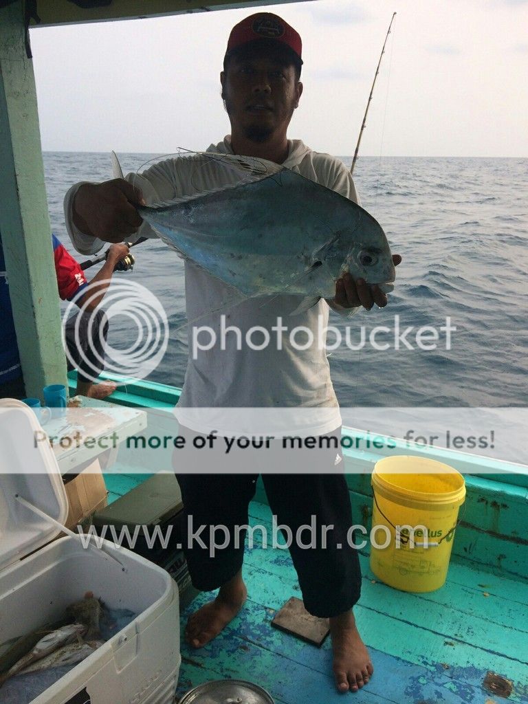 ikan yang kebiasaan ada di alur kapal