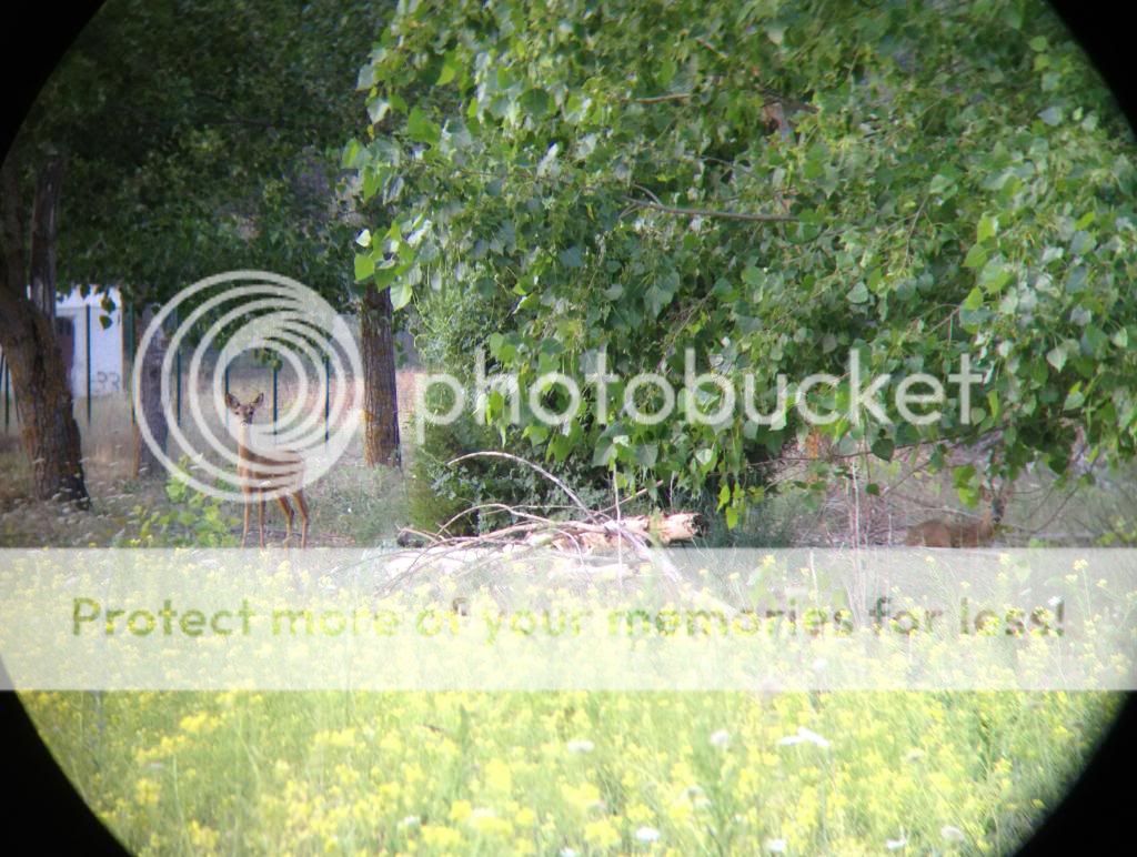photo IMG_3336.jpg
