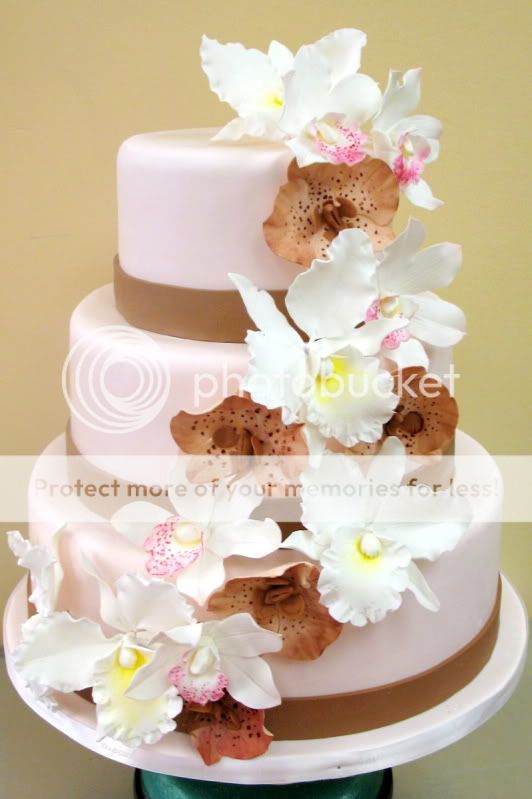 torta-4.jpg